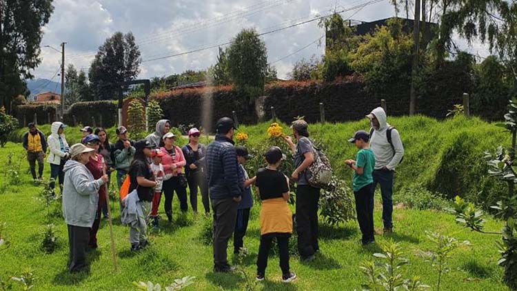 Pasonites planted trees in the mountain range near Bogota, where the objective was to protect a creek that was getting dry due to the loss of trees.